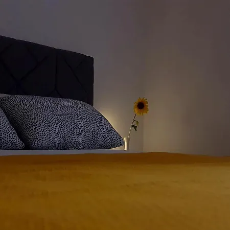 Casa Bella - Vracar *